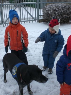 Ramses im Schnee (11)  